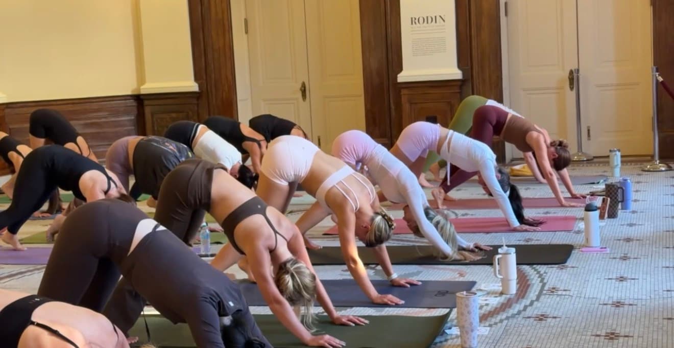 Guests in a group yoga stretch in the Gibbes rotunda