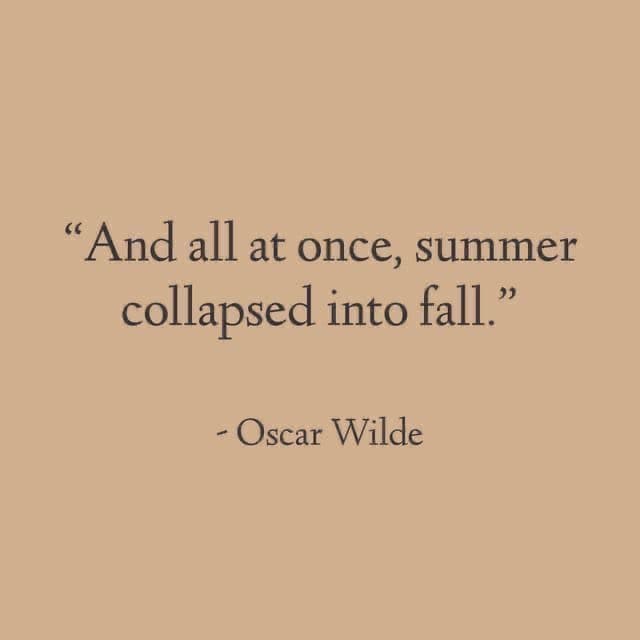 Quote card: And all at once, summer collapsed into fall